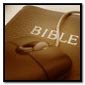 How to Study the Bible Effectively
