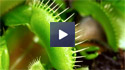 Bible Horticulture