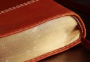 Bible